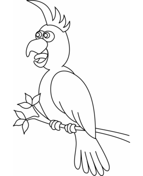 Parrot 05 - 10doigts.fr