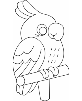 Parakeet 01 - 10doigts.fr