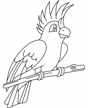 Parakeet 02 - 10doigts.fr