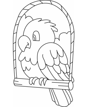 Budgie 03 - 10doigts.fr