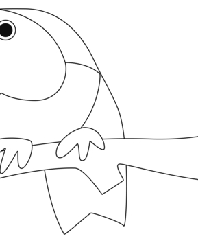 Robin 01 - 10doigts.fr