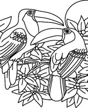 Toucan 02 - 10doigts.fr