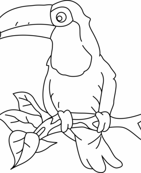 Toucan 03 - 10doigts.fr