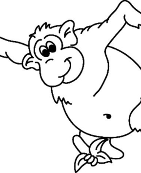 Monkey 07 - 10doigts.fr