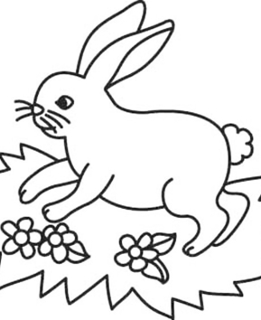 Rabbit 07 - 10doigts.fr