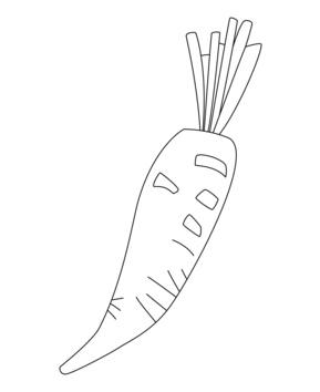 Carrot 03 - 10doigts.fr