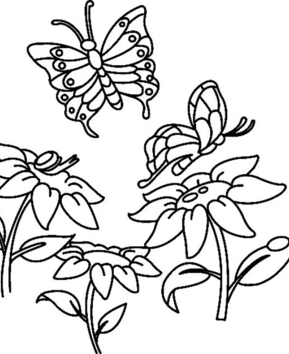 Flores y mariposas 07 - 10doigts.fr