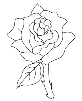 Rosa 02 - 10doigts.fr