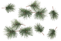Ramas de abeto para clavar - Pequeñas decoraciones de Navidad - 10doigts.fr
