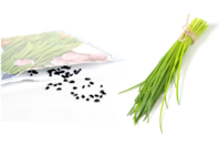 Chive Seed Packet - 1 - Gardening for Kids - 10doigts.com - Gardening for Kids - 10doigts.fr