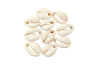 Conchas Cauri naturales - 12 unidads - Abalorios Heishi y conchas - 10doigts.fr