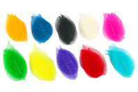 HOJAS MULTICOLOR - Flores y hojas decorativas - 10doigts.fr