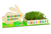 Rabbit Planter Kits + Cresson - 6 pcs - 1 - Easter Craft Kits - 10doigts.com - Easter Craft Kits - 10doigts.fr
