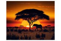 Diamond Painting Kit, Savanna - 40 x 50 cm - 1 - Diamond Painting: Complete Kit - 10doigts.com - Diamond Painting: Complete Kit - 10doigts.fr