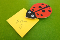 Ladybug Note Kit - 12 pieces - 1 - Notebooks - 10doigts.com - Notebooks - 10doigts.fr
