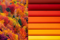 Autumn Colored Papers - 50 x 70 cm - 1 - Large Format Papers - 10doigts.com - Large Format Papers - 10doigts.fr