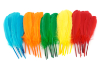 Multicolored Indian Feathers - Approximately 120 Feathers - 1 - Decorative Feathers - 10doigts.com - Decorative Feathers - 10doigts.fr