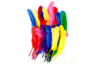 plumas indias multicolores - Plumas decorativas - 10doigts.fr