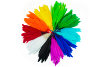 plumas indias multicolores - Plumas decorativas - 10doigts.fr