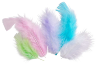 plumas pastel - Plumas decorativas - 10doigts.fr