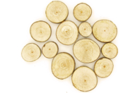 Set de aproximadamente 10 rodajas redondas de madera (assortidas de 2,5 a 5 cm - Grosor : 8 mm) - Decors naturaleza - 10doigts.fr