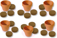 Horticulturist Set - 6 Pots + Potting Soil - 5 - Gardening for Kids - 10doigts.com - Gardening for Kids - 10doigts.fr