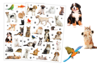 pegatinas animales domésticos - Gomets realistas - 10doigts.fr