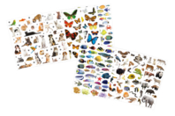 Mega pack gomets animales realistas - Gomets animales - 10doigts.fr