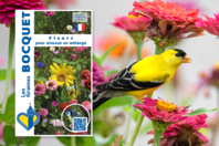 Mélange de graines de fleurs pour oiseaux - Gardening for Kids - 10doigts.fr