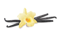 Scented Candle 27 ml - Vanilla - Candles Scents and Dyes - 10doigts.fr