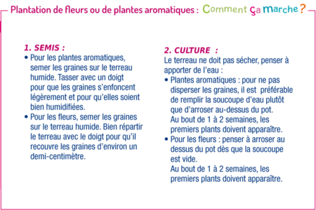 Kit "horticultor" - Actividades manuales sobre el tema de la naturaleza para los niños – 10doigts.fr