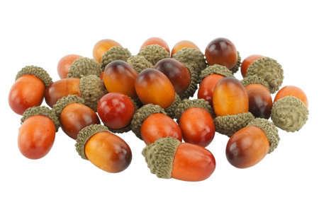 24 piñas decorativas - Decors naturaleza – 10doigts.fr