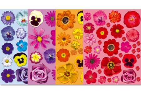 Set de 12 hojas de papel vegetal con motivos de flores (3 hojas por tipo) - 10doigts.fr
