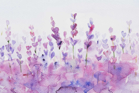 acuarela lavanda - Pintura acuarela – 10doigts.fr