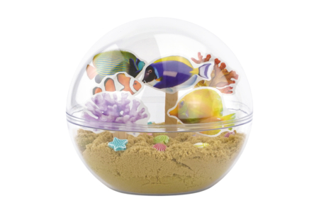 acuático actividad niños peces exóticos - Actividades manuales océano: sumérgete en un universo creativo y sensorial – 10doigts.fr