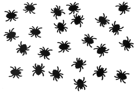 Mini Stickable Spiders - 500 Pieces - 2 - Halloween Creative Accessories - 10doigts.com - Halloween Creative Accessories – 10doigts.fr