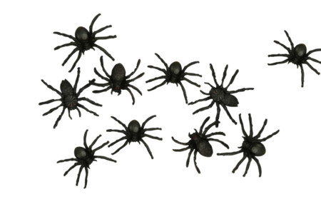 arañas negras 4 cm - Accesorios creativos Halloween – 10doigts.fr