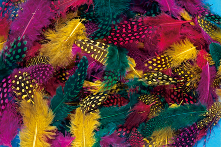 Pheasant Feather Decor Frame - 1 - Mother's Day Crafts - 10doigts.com - Mother's Day Crafts – 10doigts.fr