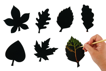 Scratch Art Leaves - 6 pieces - 1 - Creative Autumn Kits - 10doigts.com - Creative Autumn Kits – 10doigts.fr