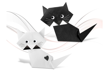 Bicolored Origami Paper - 100 Sheets - 8 - Origami Papers - 10doigts.com - Origami Papers – 10doigts.fr