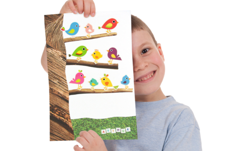Gomets Aves - 90 pcs - Gomets animales – 10doigts.fr