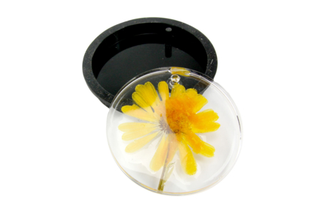 Flower and Leaf Press - 7 - Animal and Nature Kits - 10doigts.com - Kits de naturaleza y fauna: construye tu mini selva en casa. – 10doigts.fr