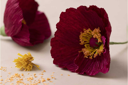 amapola otoño crepón - Flores de papel crepé para manualidades: crea ramos duraderos – 10doigts.fr