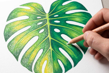 hoja monstrea blender - Accesorios de dibujo Bellas Artes – 10doigts.fr