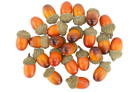 bellota de plástico deco - Decors naturaleza – 10doigts.fr