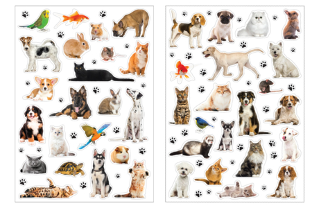 Animal Stickers - 42 pcs - 3 - Realistic Stickers - 10doigts.com - Realistic Stickers – 10doigts.fr