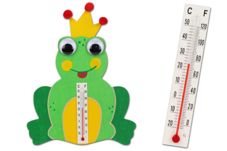 Weather Frog Decorating Kit - 12 Pieces - 1 - Animal and Nature Kits - 10doigts.com - Kits de naturaleza y fauna: construye tu mini selva en casa. – 10doigts.fr