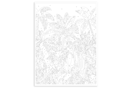 paint by number kit - Tropical Nature - Paint by Numbers – 10doigts.fr