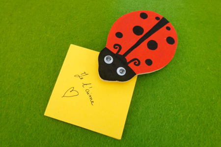 Ladybug Note Kit - 12 pieces - 7 - Notebooks - 10doigts.com - Notebooks – 10doigts.fr