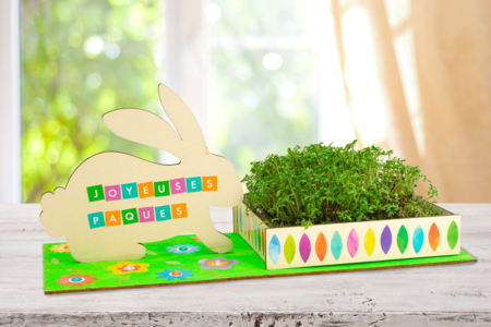Rabbit Planter Kits + Cresson - 6 pcs - 3 - Easter Craft Kits - 10doigts.com - Easter Craft Kits – 10doigts.fr